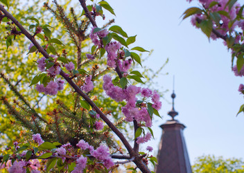 Similar image 2903237