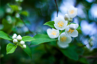 Similar image 2903246