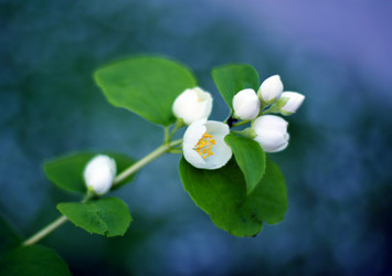 Similar image 2903247