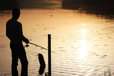 Similar image 2903250