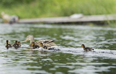 Similar image 2903280