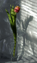 Similar image 2903281