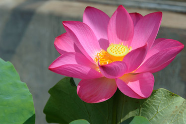 Similar image 2903290