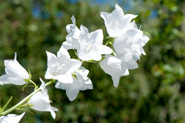 Similar image 2903291