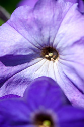 Similar image 2903292