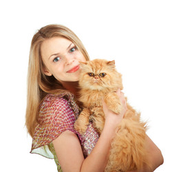 Similar image 2903295