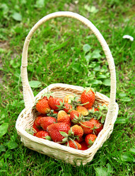 Similar image 2903296