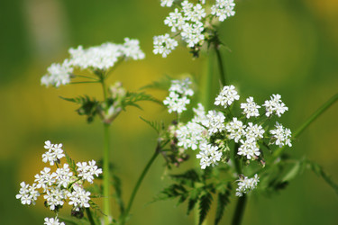 Similar image 2903305