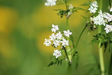 Similar image 2903306