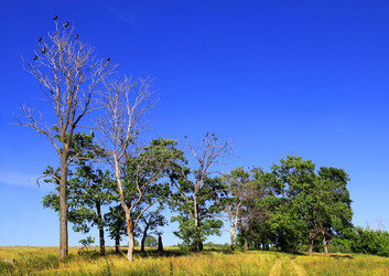 Similar image 2903373