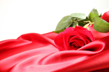 Similar image 2903500