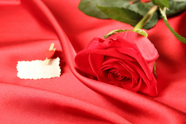 Similar image 2903503