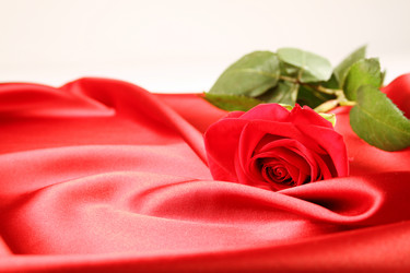 Similar image 2903508