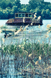 Similar image 2903560