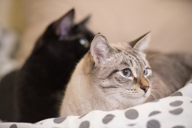 Similar image 2903709