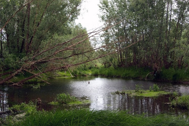 Similar image 2903739