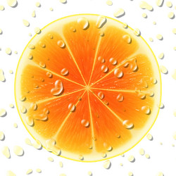 Similar image 2903859