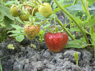 Similar image 2903872