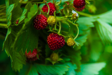 Similar image 2903879