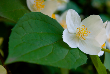 Similar image 2903880