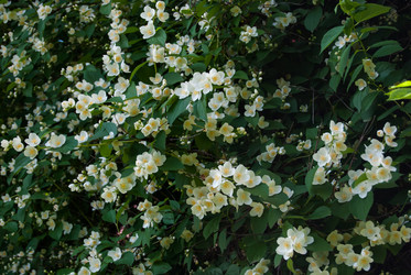 Similar image 2903881