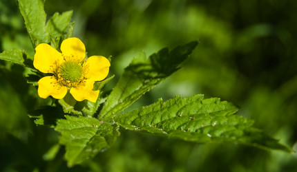 Similar image 2903883