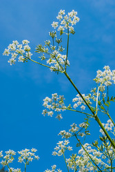 Similar image 2903886