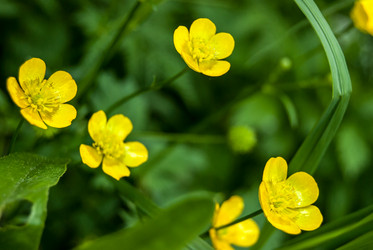 Similar image 2903887