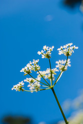 Similar image 2903888