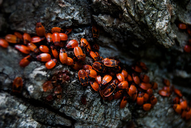 Similar image 2903893