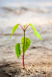 Similar image 2903894