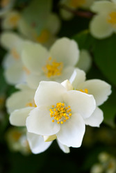 Similar image 2903896