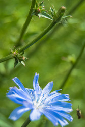 Similar image 2903898