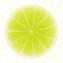 Similar image 2903906