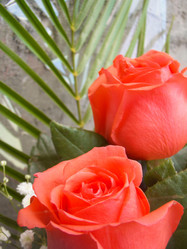 Similar image 2903907