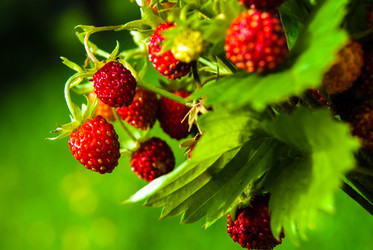 Similar image 2903914