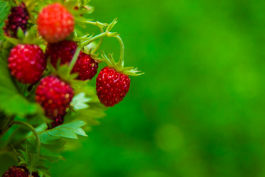 Similar image 2903917