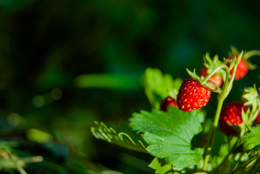 Similar image 2903921