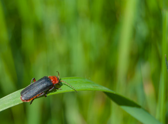 Similar image 2903922