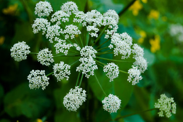 Similar image 2903925