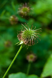 Similar image 2903926