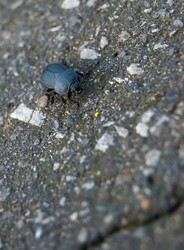 Similar image 2903927