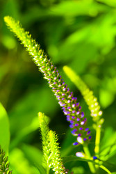 Similar image 2903928