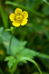 Similar image 2903930