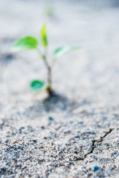 Similar image 2903931