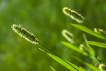 Similar image 2903933