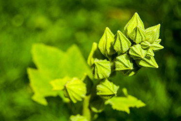 Similar image 2903934