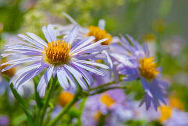 Similar image 2903936