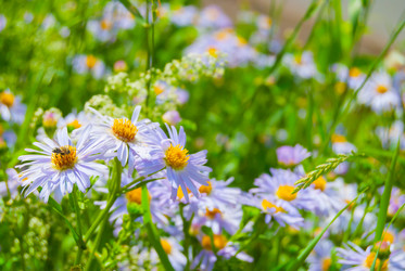 Similar image 2903937