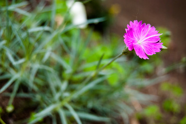 Similar image 2903938